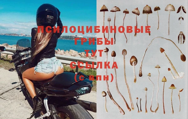 тгк Вязники