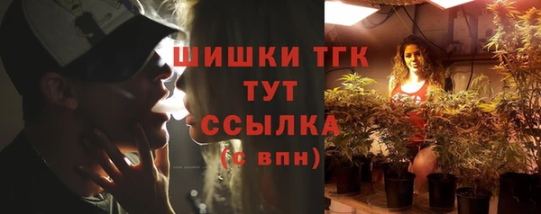 стаф Осташков