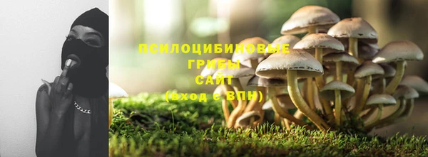 стаф Осташков