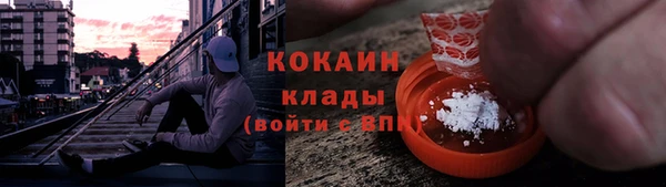 стаф Осташков