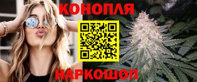 гидра Гай