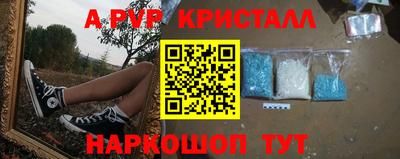 гидра Гай