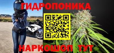 jwh Гатчина