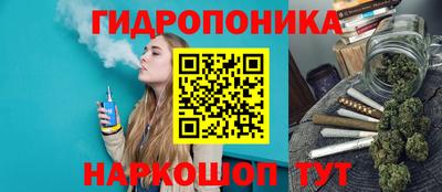 jwh Гатчина