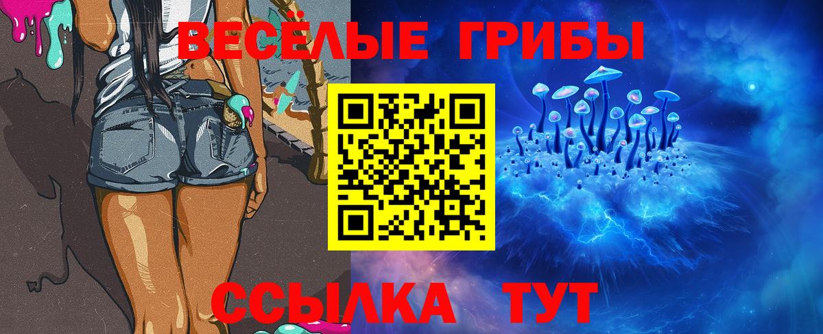 Псилоцибиновые грибы GOLDEN TEACHER  Алатырь  Псилоцибиновые грибы Psilocybe 