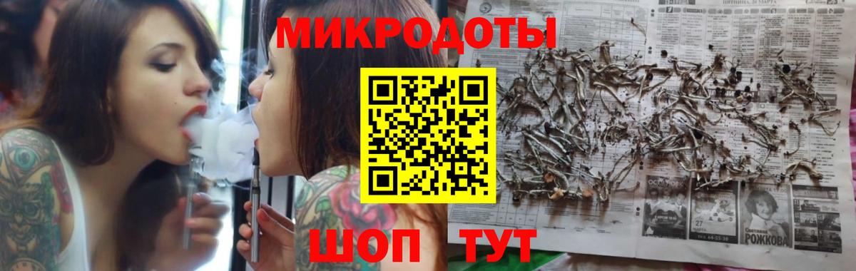 Псилоцибиновые грибы мицелий Алатырь