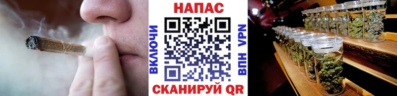 Бошки марихуана Amnesia  где купить наркоту  Алатырь 